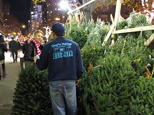 11&12月のニューヨーク 【2012年】 クリスマスツリー イルミネーション ホリデーマーケットサンクスギビングデー