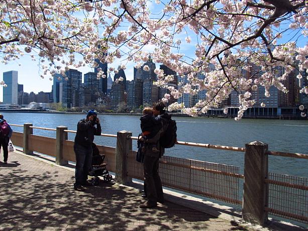 桜をバックに記念撮影タイム。