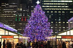 11&12月のニューヨーク【2017年】  ロックフェラーセンターのクリスマスツリー ホリデーマーケット セントラルパークホリデートレインショー