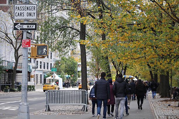 11月に入って一気に気温が下がり始めたニューヨーク。<br>街路樹も黄色になってきています。