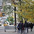 11月に入って一気に気温が下がり始めたニューヨーク。<br>街路樹も黄色になってきています。
