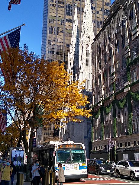 今年のニューヨークは11月でも比較的穏やかな天気が続いています。<br>お散歩しやすいです！