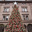 ニューヨークのクリスマス特集【2020年】 ロックフェラーセンターのクリスマスツリー クリスマスマーケット ホリデーウィンドー コロナ禍ニューノーマル