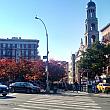 11月に入り気温が摂氏で言う一桁になる日も増えてきたニューヨーク。市内の木々も色づいてきています。