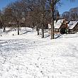 ニューヨークは雪が降り、8インチ(約20センチ）ほど積もりました。セントラルパークは真っ白です。