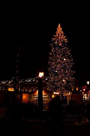 世界で一番最初に始めたというクリスマスツリーは昼見ても夜見ても素晴らしい！