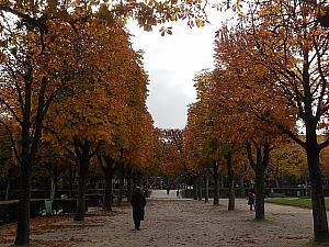 パリの秋も情緒がありますよ！