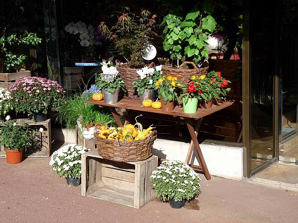 オシャレなお花屋さん、地味にかぼちゃが飾ってあります。