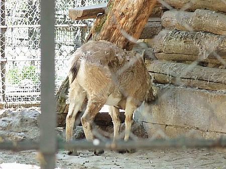 パリジャン＆パリジェンヌ憩いの場！パリの公園特集！