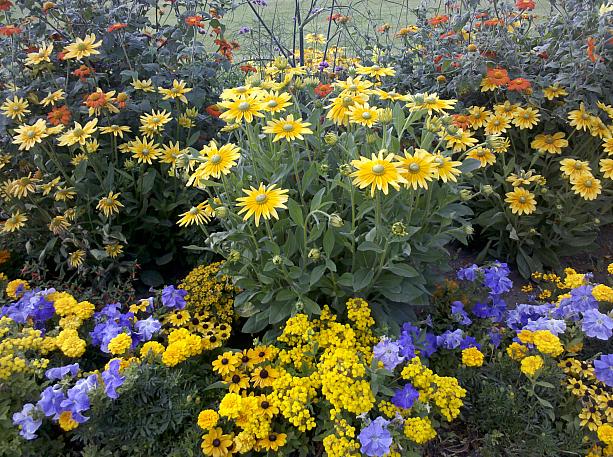 色とりどりの花が咲き乱れていて美しい！