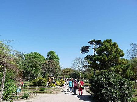 パリには美しい公園が沢山。