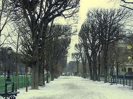 パリの冬は寒いのです