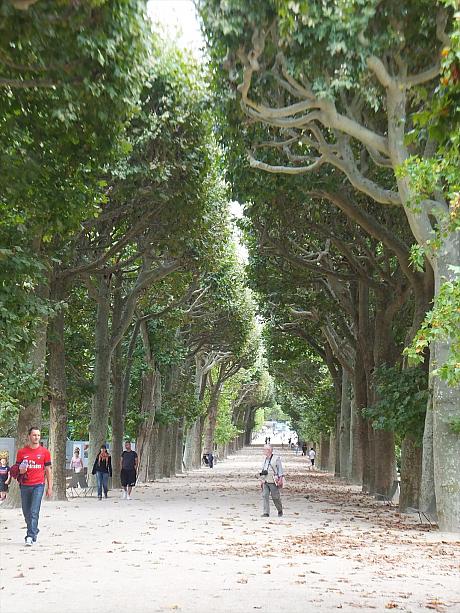 パリ5区にあるパリ植物園は、季節折々の植物に触れることができる憩いの場所。