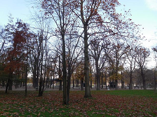 すっかり秋の風景になったリュクサンブール公園。朝の閑静な空気もいいものです。