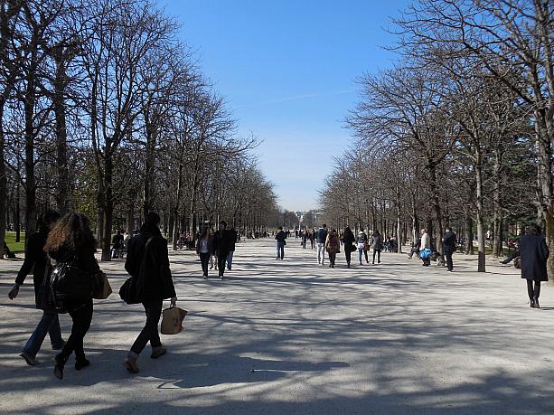 3月に入ってから気温が上がり、いよいよ春がやってきたパリ。こちらはお昼どきのリュクサンブール公園です。