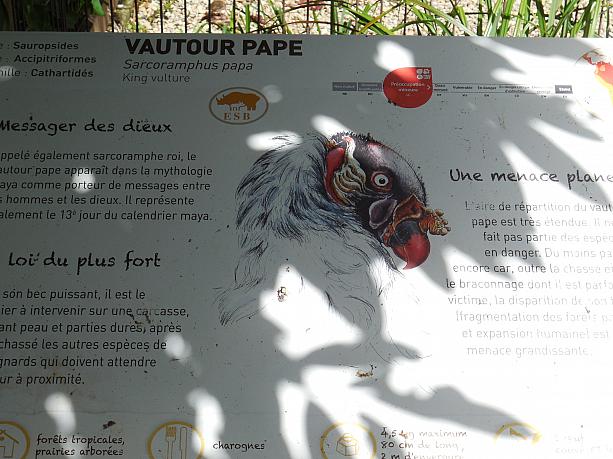檻の前には詳しく動物の説明が表示してあります。