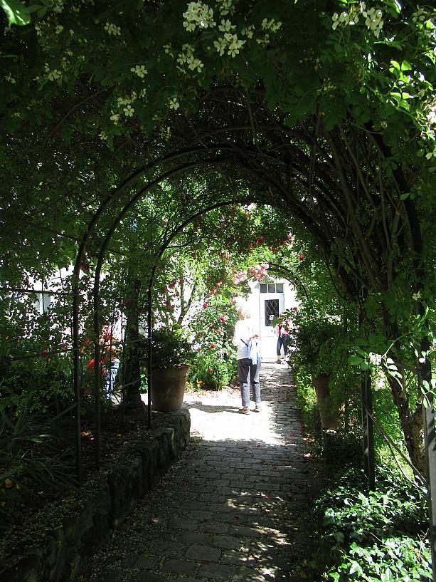 二つの部分に分かれている庭園はとても気持ちのいい空間です。緑のトンネルがロマンチック。