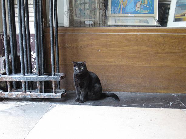 入り口に黒猫発見。パリには黒猫が似合う？！