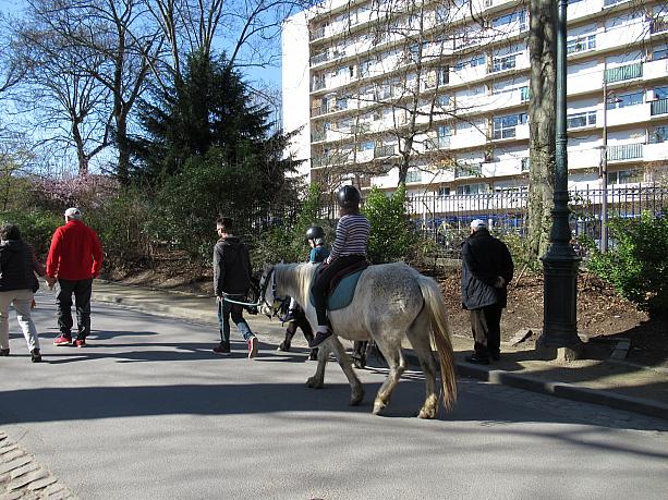 モンスリ公園ではポニーの散歩ができます。もちろん子どもたちには大人気。
