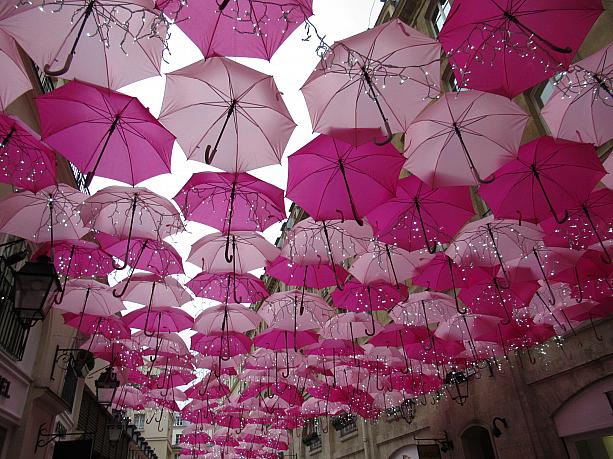 たくさんの傘・傘・傘！！アンブレラ・スカイという恒例のプロジェクトです。今年はピンクで統一。