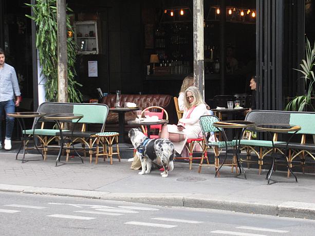 運河沿いのカフェもお客さんは少なめ。犬を連れたパリジェンヌマダムを発見。