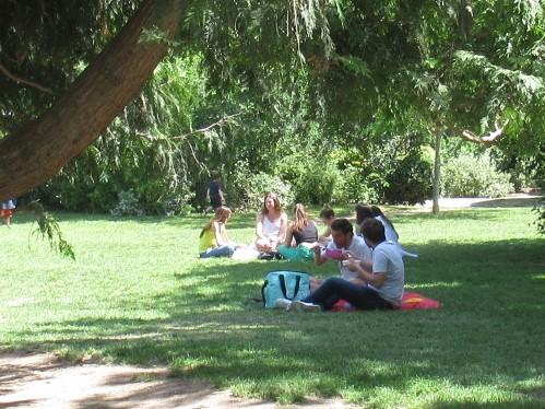 シャン・ド・マルス公園にいる人達をチェックしてみました。芝生の木陰でお弁当、ピクニック気分でいいですね。