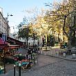 パリの下町情緒と活気が味わえるムフタール通り。秋のパリ散策にもぴったりです。