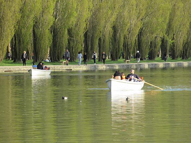 池ではボート遊びもできるんですよ。春から夏には気持ちいいアクティビティですね。