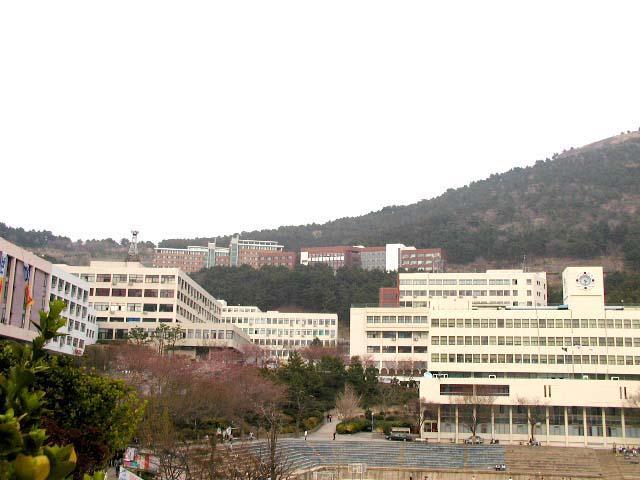 東亜大学校国際交流教育院韓国語講座 （釜山）