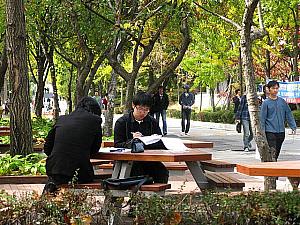 ソウル市立大学校国際教育院韓国語学堂