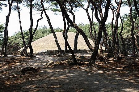 小道を10分ほど歩いていくと、松ノ木の影から女王の墓が顔をのぞきます。