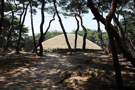 小道を10分ほど歩いていくと、松ノ木の影から女王の墓が顔をのぞきます。