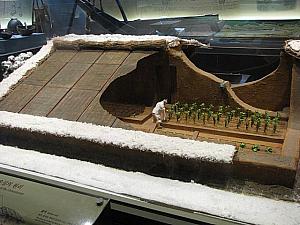 朝鮮時代にはもう既に温室があったんですって！朝鮮時代の温室の原理や『マットゥレ(맞두레)』という二人一組で水田に水をやる面白い農具も展示されていました。