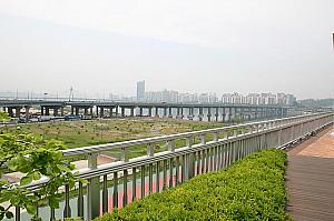 橋の上からの景色。すぐ横にある漢江公園ではみなさんスポーツをお楽しみ中～。