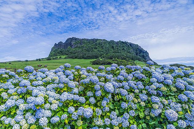 城山日出峰　©韓国観光公社