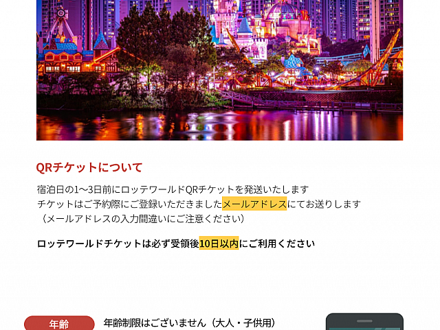 韓国 ロッテワールド 入場券 2枚 QR