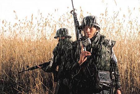 2004年11月・12月の韓国映画
