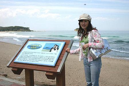 ＴＶ”韓流体感！情報満載ソウルナビ”～2005年6月編
