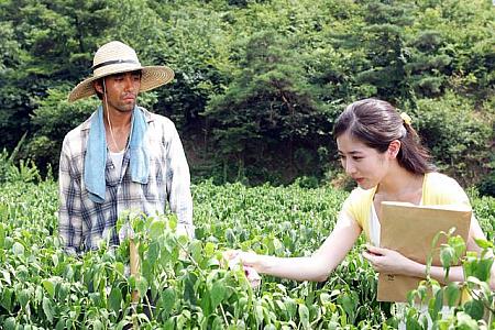2007年3月＆4月の韓国映画