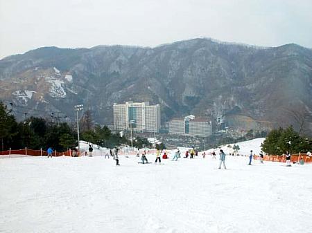 韓国にあるスキー場一覧！