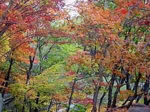 北漢山城へ紅葉狩りに行って来ました！