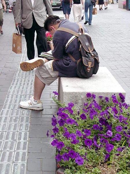 夏の鍾路と仁寺洞を歩いてみよう！～２００２年７月編