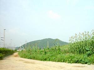 地下鉄４号線の終点、オイド（烏耳島）駅に行って来ました～２００２年９月編