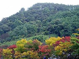 写真で見る秋深まるソウル！【２００２年】