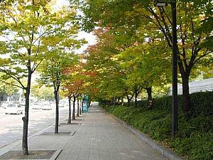 写真で見る秋深まるソウル！【２００２年】