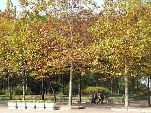 写真で見る秋深まるソウル！【２００２年】