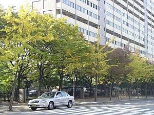 写真で見る秋深まるソウル！【２００２年】