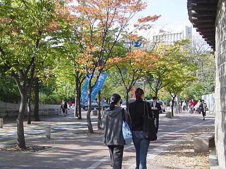写真で見る秋深まるソウル！【２００２年】