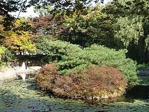 写真で見る秋深まるソウル！【２００２年】
