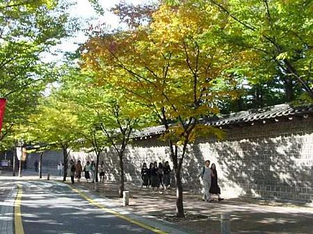 写真で見る秋深まるソウル！【２００２年】